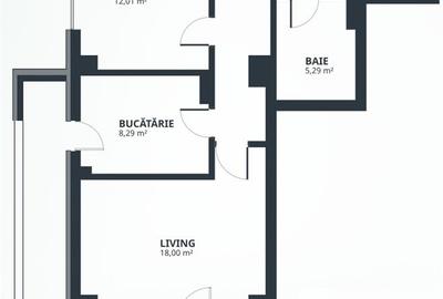 Apartament cu 2 camere decomandat în Tătărași - 16