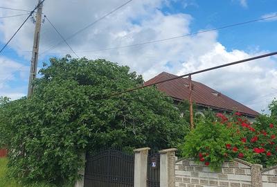 Casă cu Teren 4600 Mp în Pristol - 4