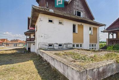 Pensiune in Geoagiu pe malul raului Mure? - 2