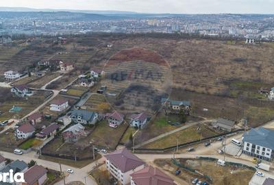 Teren de 13500 mp, în Voinești - 5