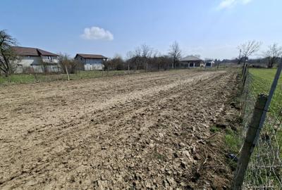 Teren de 1800 mp, în Nord-Vest - 2