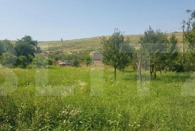 Teren de 11600 mp, în Someșeni - 3