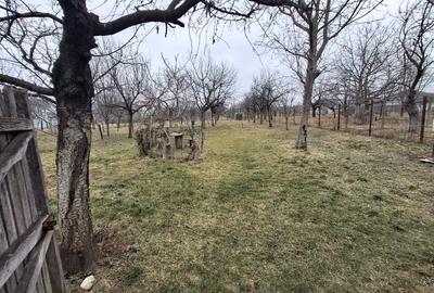 Vila P+1  Ploiesti - Paulestii Noi - 51