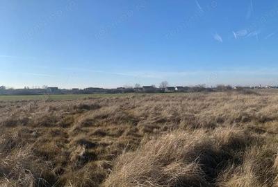 Teren de 600 mp, în Săcălaz