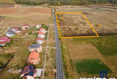 Teren de 19000 mp, în Pișchia - 4