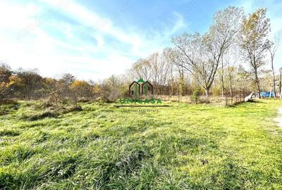 Teren Dem Radulescu 1092mp - 3