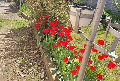 Casă cu 6 camere cu Teren 400 Mp în 8 Martie - 1