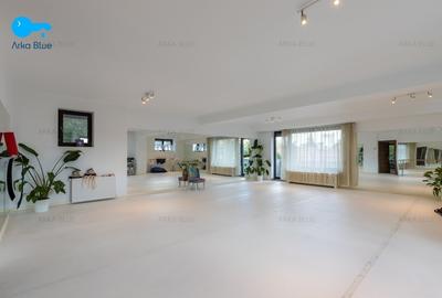 Imobil modern-Domenii, Casin - birouri, clinica, parcare subterana - 15