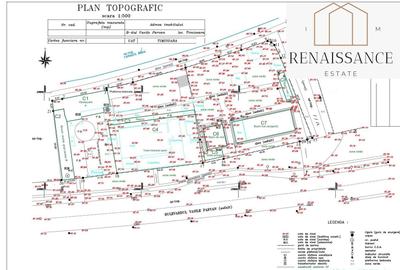 Timisoara Central Teren 6.000mp | Oportunitate | Bdul Vasile Parvan - 2