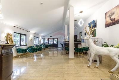 Hotel CERBUL CHALET de inchiriat/ zona Rasnov-Parau... - 11