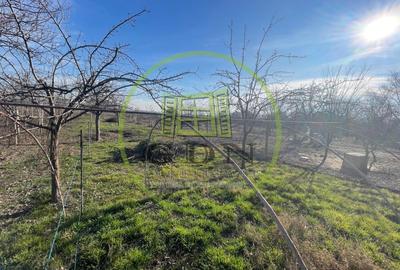 Casă individuală cu 5 camere cu Canalizare în Braniște (Podari) - 2