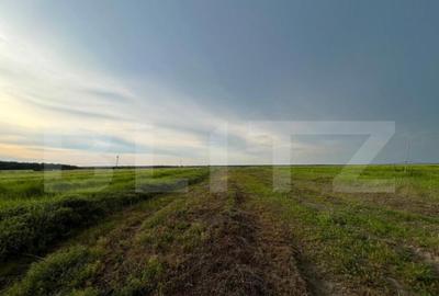 Teren par?ial intravilan 23.500 mp, apa, curent ?i suprav - 6