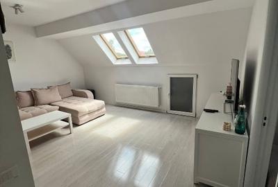 2 camere Jiului - 8