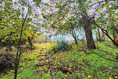 Teren 2200 mp + Casă, sat Frasinu, Giurgiu - 4