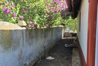 Casă cu 2 camere în Central - 5