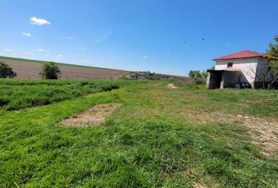 Fermă de vânzare în com. Deleni - DN3 - 10.680 mp - 84 m deschidere - 18