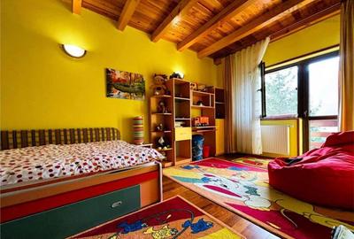 Vila de vacanta situata in Busteni - 3