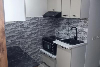 Garsonieră în Theodor Pallady - 4