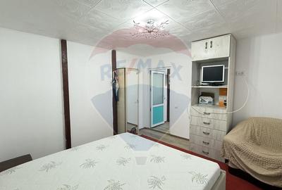 Casa / Vila cu 3 camere de inchiriat in zona Giurgiului - 5