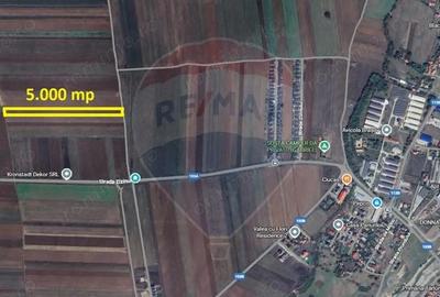 Teren de 5000 mp, în Tărlungeni - 5