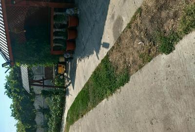 Casa la tara in Bucinisu - 1