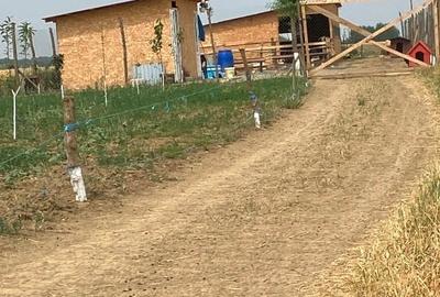 Teren agricol intravilan de 504 mp, în Cornetu - 3