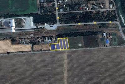 Teren de 5000 mp, în Fundata - 1