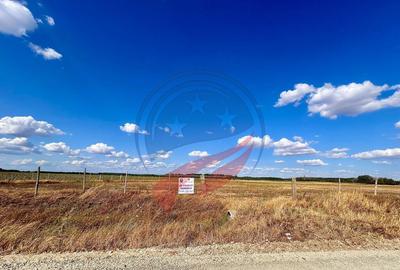 Teren 30.500 mp de vanzare in Livezi, Dolj - 1
