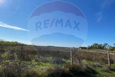 Teren Construcții intravilan de 2500 mp, în Malu Mare - 5