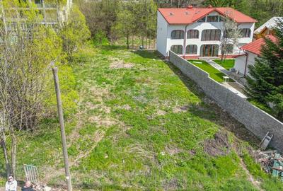 Teren intravilan 1.632 mp de vanzare in statiunea montana Busteni - 12