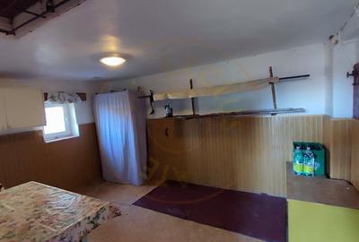 De vanzare Casa 2 camere cu Teren 1323 mp, 2 fronturi - Gradina Viilor - Carei - 7
