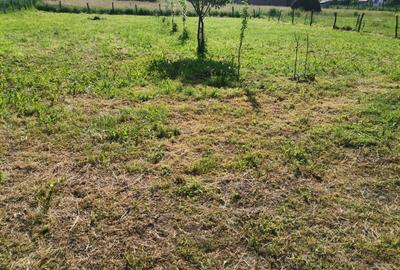 Casă individuală cu 3 camere cu Teren 1500 Mp în Suciu de Sus - 6