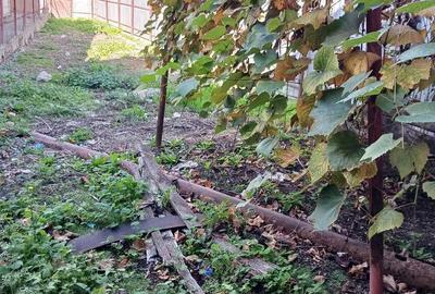 Casă cu Teren 200 Mp în Central - 1