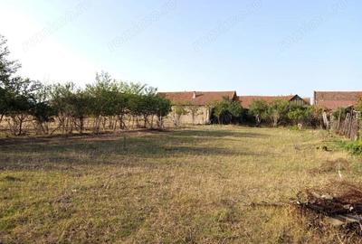 Berliste, Casa 6 Incaperi, 1129mp Teren, Pret Negociabil Berliste, Casa 6 Incaperi, 1129mp Teren, Pret Negociabil - 8