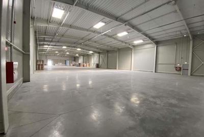 Hala complet echipata, nou construita langa aeroportul interna?ional Traian Vuia - 8