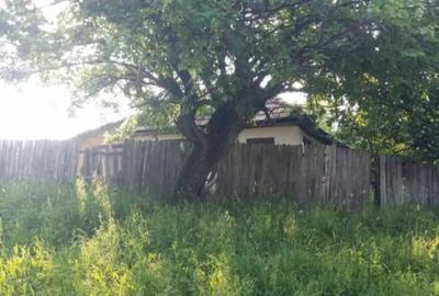 Casă cu 2 camere în Pișteștii din Deal - 1