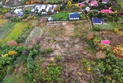 Teren Construcții intravilan de 8000 mp, în Gârlenii de Sus - 6