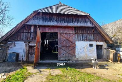 Casă cu 3 camere cu Teren 3724 Mp în Apa - 12