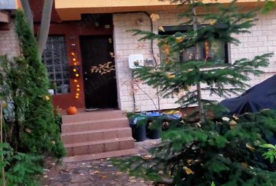 Vand Casa P+E+Pod , Bragadiru - 2