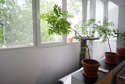 Timpuri Noi Nerva Traian  Garsoniera la cheie Decomandata et. 1 Bloc Reabilitat - 4