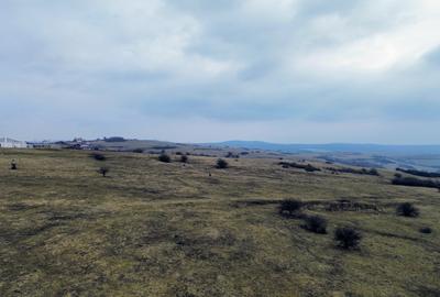 Teren agricol extravilan de vânzare – 67.500 mp – Dealul Daii, Sibiu - 5