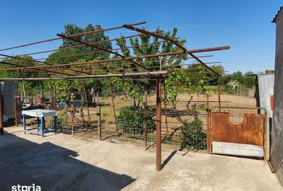 Casă cu 4 camere cu Teren 96 Mp în Peceneaga - 2