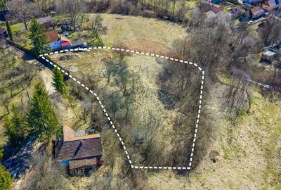 Teren Construcții intravilan de 2201 mp, în Vâlcele - 6