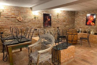 Casă individuală cu 8 camere cu Canalizare în Făget - 5