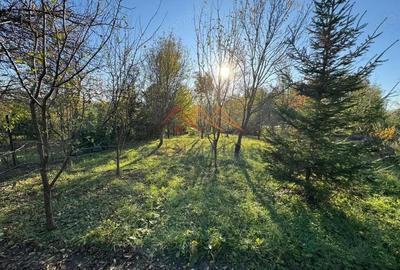 Vila S+P+E, priveliste deosebita, 6 camere, garaj, terasa, Cornu, PH - 1