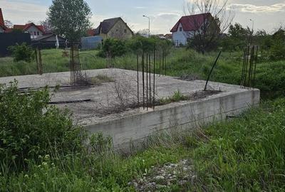 Mihailesti, Reve, in spate la depozit Penny - 4