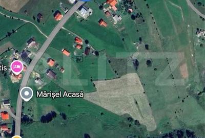 Teren de 1200 mp, în Baciu