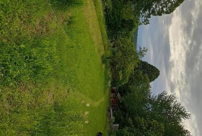 Casă cu 2 camere cu Teren 5500 Mp în Sibișel (Beriu) - 6