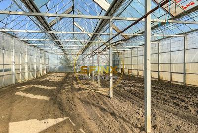 De vanzare ferma Calarasi in stare de conservare - sere - livada - 12