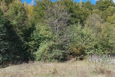 Spațiu comercial, în Central - 3